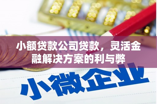 合浦小额贷款公司贷款，灵活金融解决方案的利与弊